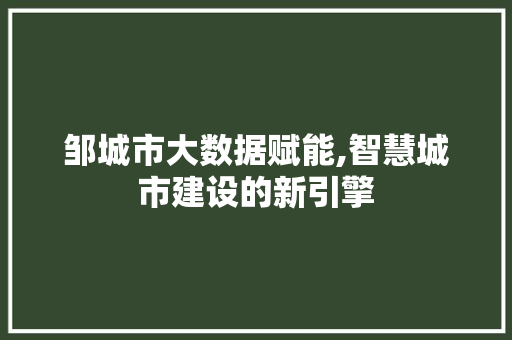 邹城市大数据赋能,智慧城市建设的新引擎 百度算法
