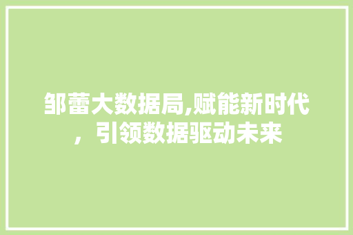 邹蕾大数据局,赋能新时代，引领数据驱动未来 搜狗优化