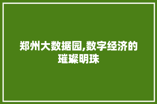 郑州大数据园,数字经济的璀璨明珠