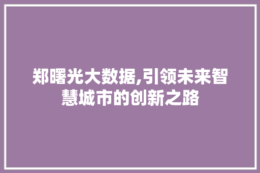 郑曙光大数据,引领未来智慧城市的创新之路