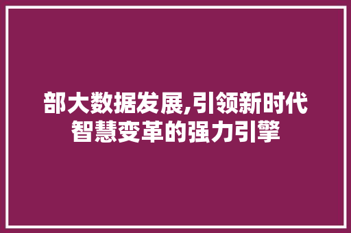 部大数据发展,引领新时代智慧变革的强力引擎