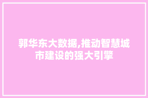 郭华东大数据,推动智慧城市建设的强大引擎