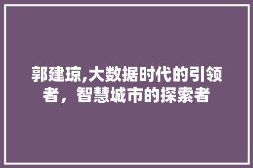 郭建琼,大数据时代的引领者，智慧城市的探索者