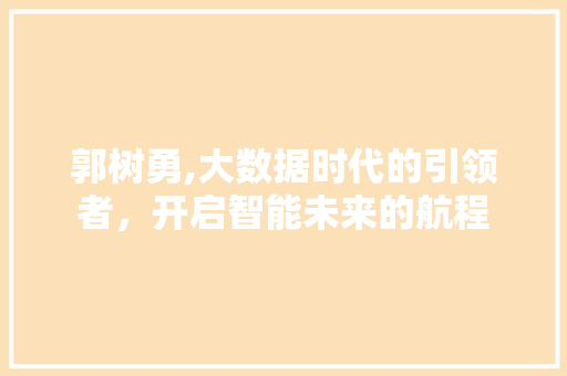 郭树勇,大数据时代的引领者，开启智能未来的航程