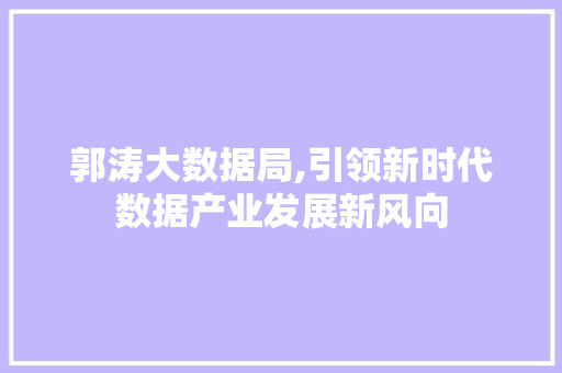 郭涛大数据局,引领新时代数据产业发展新风向 AI技术学习