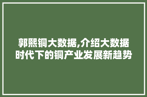 郭熙铜大数据,介绍大数据时代下的铜产业发展新趋势