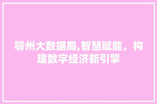 鄂州大数据局,智慧赋能，构建数字经济新引擎 网站开发