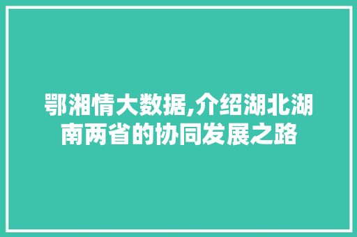 鄂湘情大数据,介绍湖北湖南两省的协同发展之路 seo技术