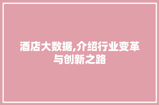 酒店大数据,介绍行业变革与创新之路