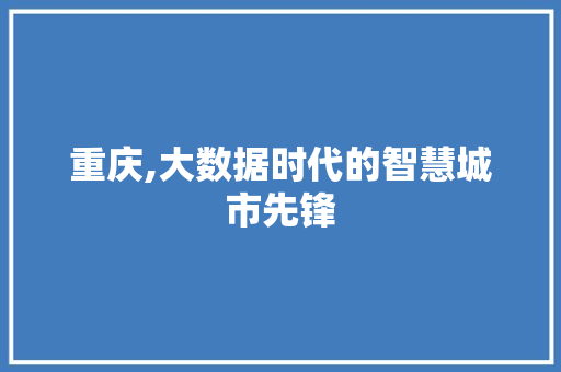 重庆,大数据时代的智慧城市先锋