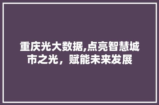 重庆光大数据,点亮智慧城市之光，赋能未来发展 seo技术