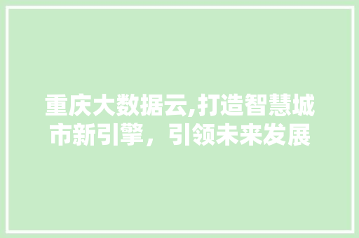 重庆大数据云,打造智慧城市新引擎，引领未来发展