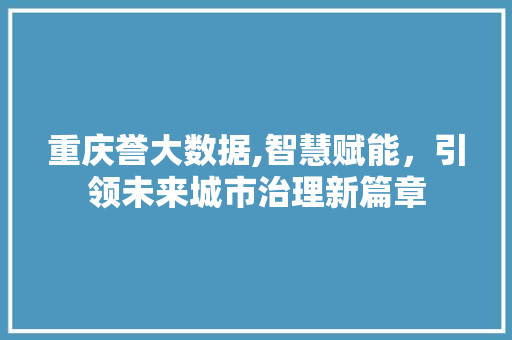 重庆誉大数据,智慧赋能，引领未来城市治理新篇章