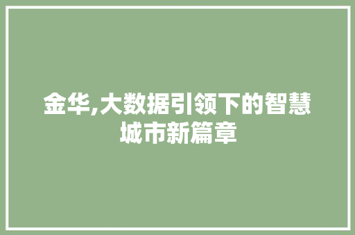 金华,大数据引领下的智慧城市新篇章