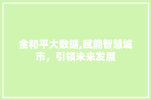 金和平大数据,赋能智慧城市，引领未来发展