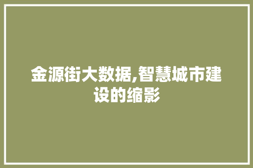 金源街大数据,智慧城市建设的缩影 网站开发