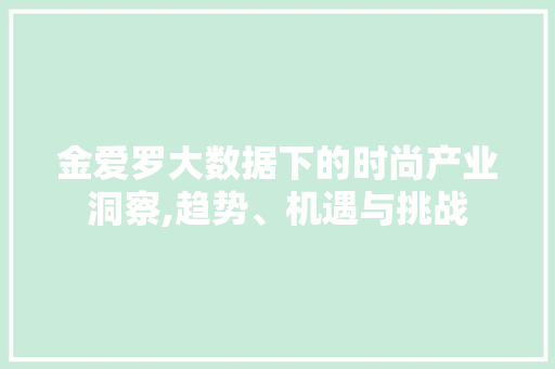 金爱罗大数据下的时尚产业洞察,趋势、机遇与挑战