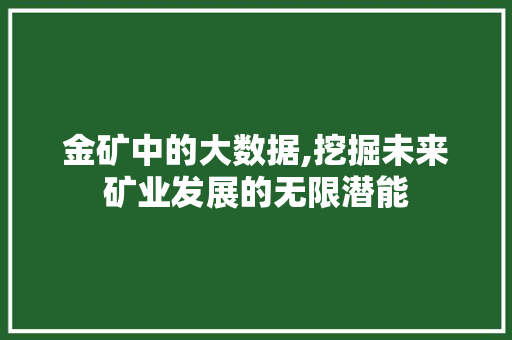 金矿中的大数据,挖掘未来矿业发展的无限潜能