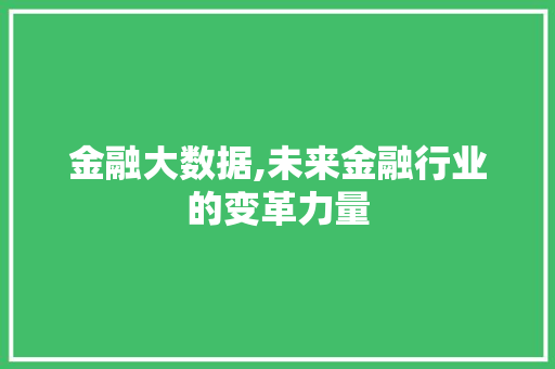 金融大数据,未来金融行业的变革力量 英文谷歌算法