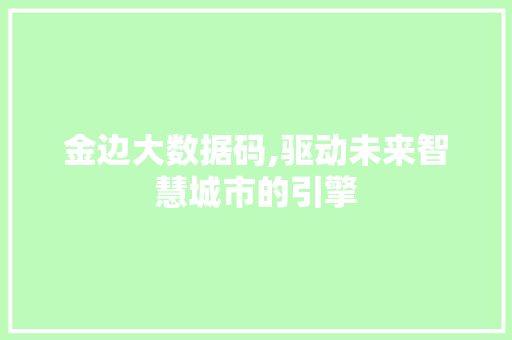 金边大数据码,驱动未来智慧城市的引擎 seo技术