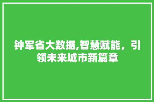 钟军省大数据,智慧赋能，引领未来城市新篇章