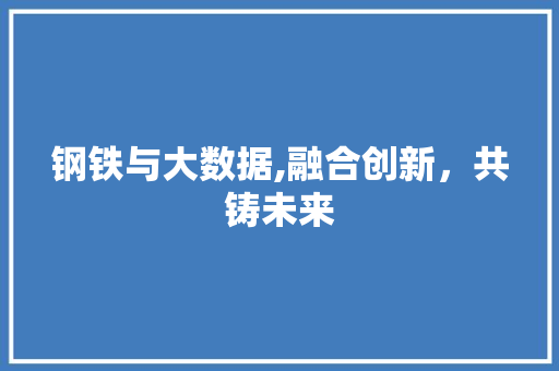 钢铁与大数据,融合创新，共铸未来