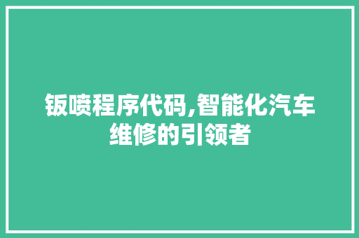 钣喷程序代码,智能化汽车维修的引领者