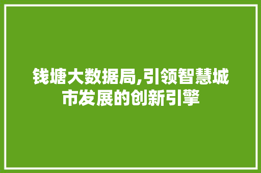 钱塘大数据局,引领智慧城市发展的创新引擎
