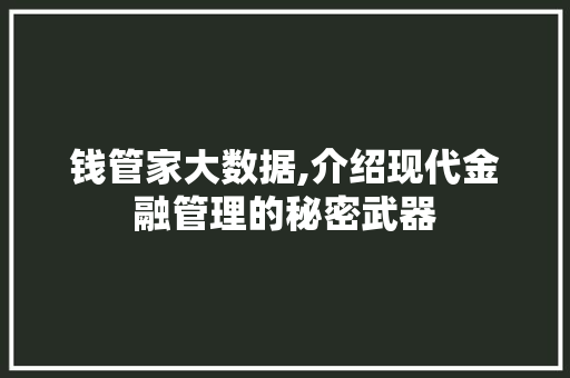 钱管家大数据,介绍现代金融管理的秘密武器