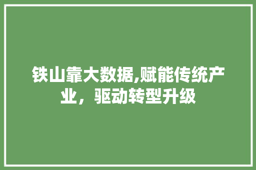 铁山靠大数据,赋能传统产业，驱动转型升级 网站开发