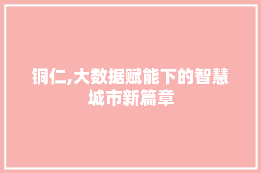 铜仁,大数据赋能下的智慧城市新篇章 网站优化