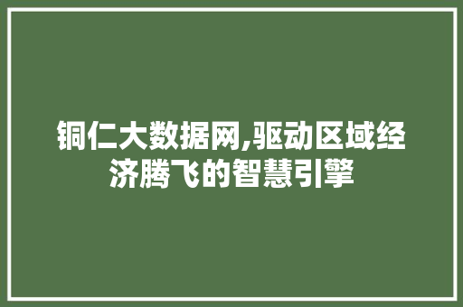 铜仁大数据网,驱动区域经济腾飞的智慧引擎