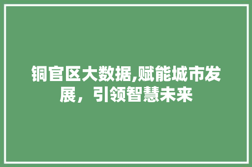 铜官区大数据,赋能城市发展，引领智慧未来 百度算法