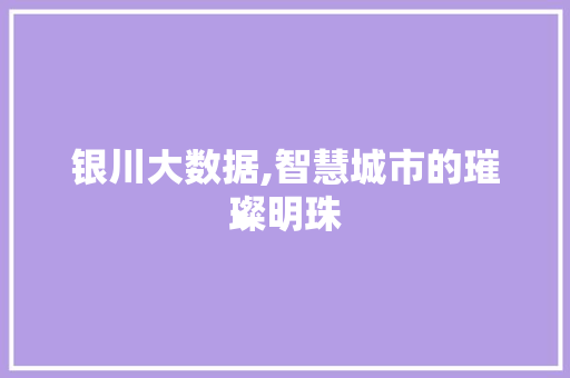 银川大数据,智慧城市的璀璨明珠
