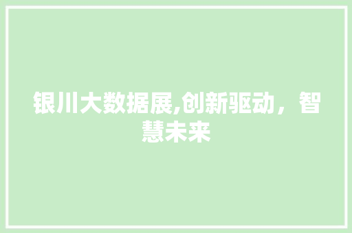 银川大数据展,创新驱动，智慧未来