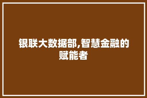 银联大数据部,智慧金融的赋能者 360搜优化