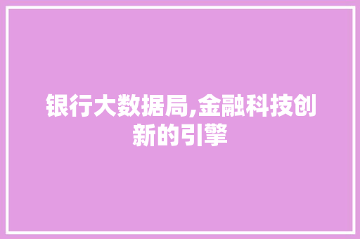 银行大数据局,金融科技创新的引擎