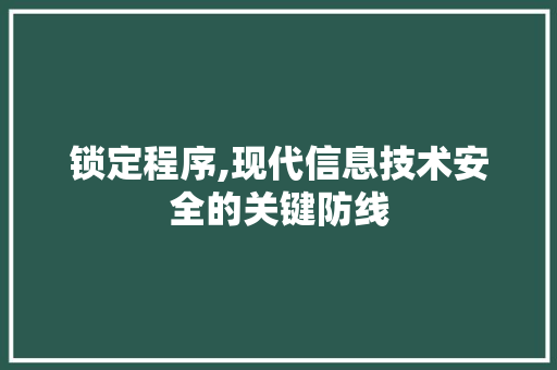 锁定程序,现代信息技术安全的关键防线