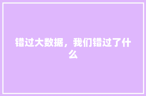 错过大数据，我们错过了什么 搜狗优化