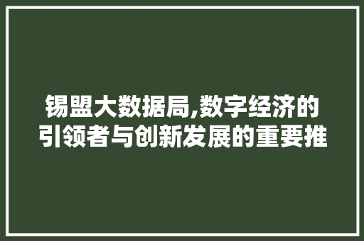 锡盟大数据局,数字经济的引领者与创新发展的重要推手