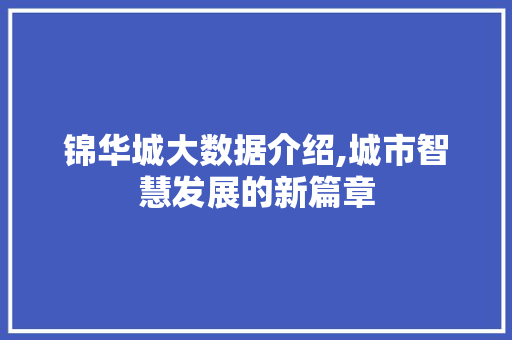 锦华城大数据介绍,城市智慧发展的新篇章