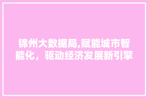 锦州大数据局,赋能城市智能化，驱动经济发展新引擎