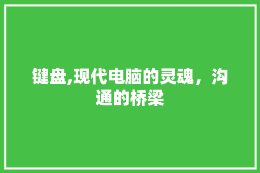 键盘,现代电脑的灵魂，沟通的桥梁