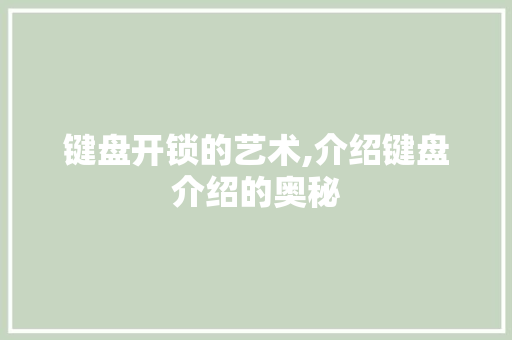 键盘开锁的艺术,介绍键盘介绍的奥秘