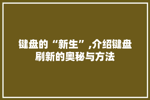 键盘的“新生”,介绍键盘刷新的奥秘与方法