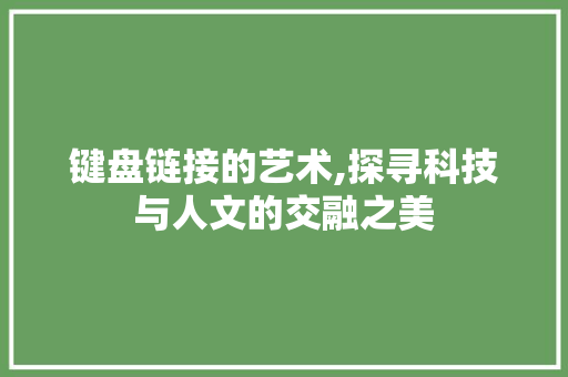 键盘链接的艺术,探寻科技与人文的交融之美