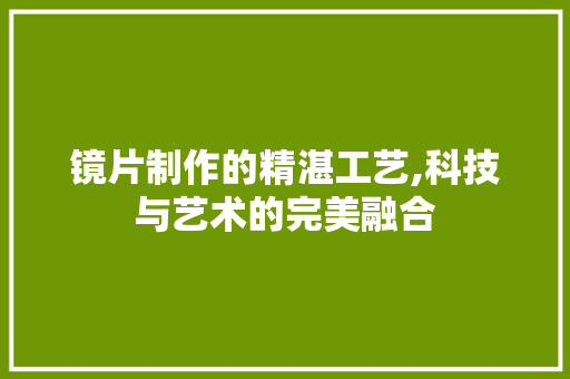 镜片制作的精湛工艺,科技与艺术的完美融合