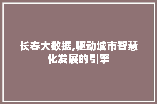 长春大数据,驱动城市智慧化发展的引擎