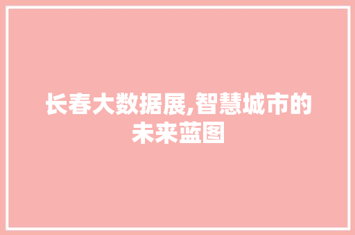 长春大数据展,智慧城市的未来蓝图