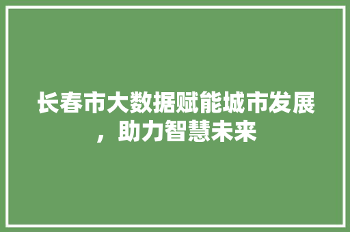 长春市大数据赋能城市发展，助力智慧未来